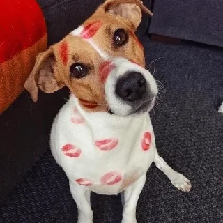 Sticker from для меня :)