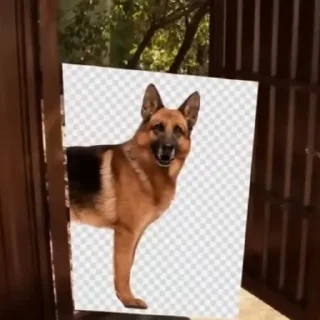🐕 emoji Мори Гяру ☺️ Telegram sticker 24 of 63