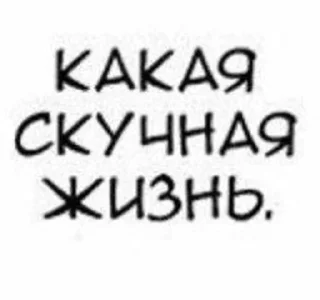 Sticker from сосать будешь и это утверждение