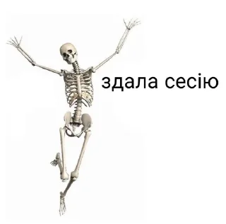🌟 emoji на всі випадки життя Telegram sticker 16 of 45