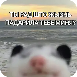 🤲 emoji Николай Николай трахни меня Коля коля Telegram sticker 20 of 24