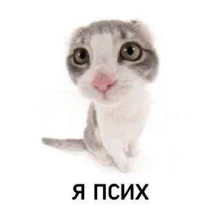 Sticker from я хуярю героин по средам