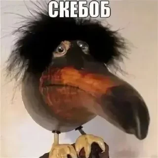 🐔 emoji Эм лол Telegram sticker 4 of 120