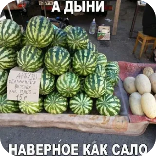 🍲 emoji Арбузы от @Makakish1949 Telegram sticker 11 of 44
