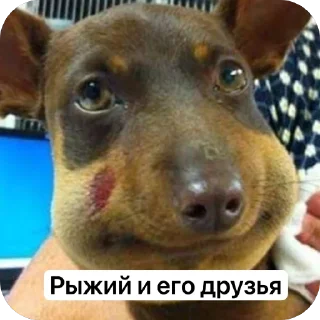 Sticker from СА-28