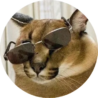 Sticker from Fake Circle | @plagn