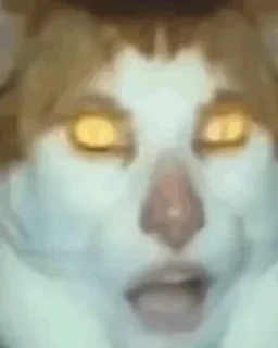 🌟 emoji этот ну этот ну этот 3 финал Telegram sticker 20 of 50