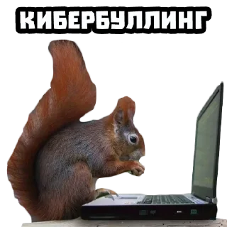 Sticker from Белки @stickernayaa