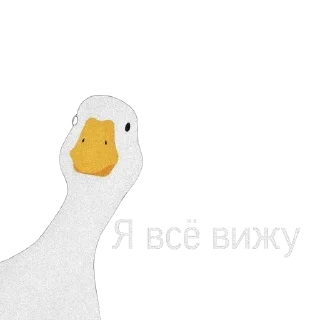 🪿🦆 sticker 1