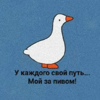 🪿🦆 sticker 4
