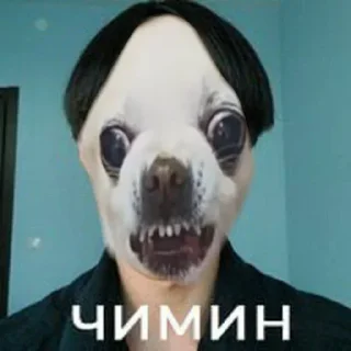 🇰🇷 emoji гвоздь мне в кеды @TgEmodziBot Telegram sticker 24 of 48