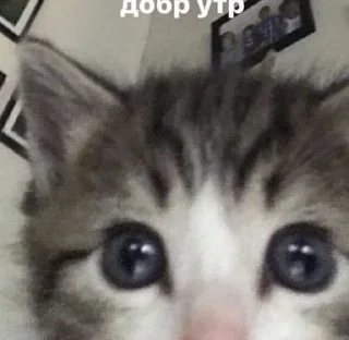 Sticker from Дедовские шутки