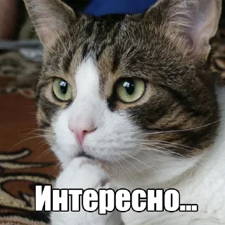 😏 emoji Мур-мур: @Pea4_stickerbot Telegram sticker 18 of 42
