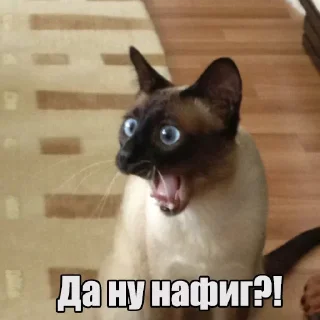 😱 emoji Мур-мур: @Pea4_stickerbot Telegram sticker 10 of 42
