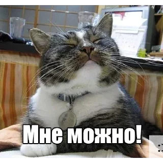 😎 emoji Мур-мур: @Pea4_stickerbot Telegram sticker 19 of 42