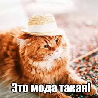 👒 emoji Мур-мур: @Pea4_stickerbot Telegram sticker 23 of 42