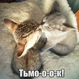 😚 emoji Мур-мур: @Pea4_stickerbot Telegram sticker 11 of 42