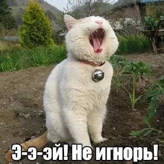 😫 emoji Мур-мур: @Pea4_stickerbot Telegram sticker 22 of 42