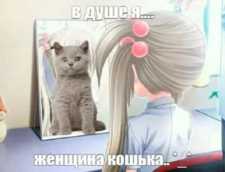 Sticker from мяу