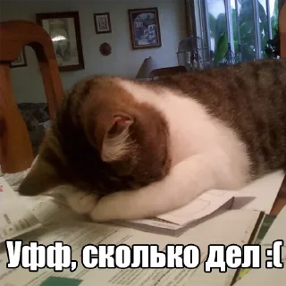 😣 emoji Мур-мур: @Pea4_stickerbot Telegram sticker 14 of 42