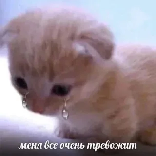 😢 emoji Всякая всячина Telegram sticker 5 of 31