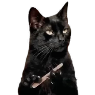 💅 emoji Всякая всячина Telegram sticker 8 of 31