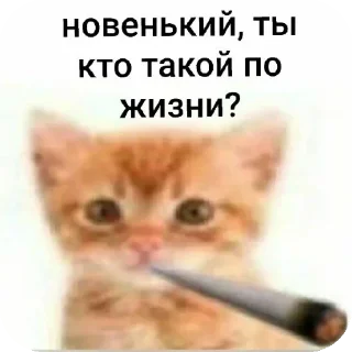 🤨 emoji Всякая всячина Telegram sticker 22 of 40