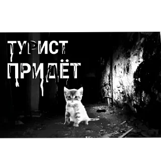🫣 emoji Всякая всячина Telegram sticker 8 of 40