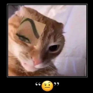 🧐 emoji рисовал рис овал Telegram sticker 7 of 120