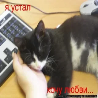 😭 emoji рисовал рис овал Telegram sticker 8 of 120