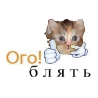 Sticker from Чмоня