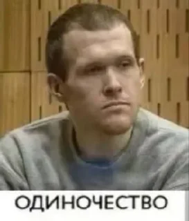 😔 emoji Brenton Tarrant @voenkomat1488 Telegram sticker 4 of 12