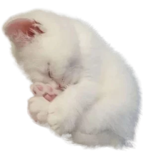🤍 emoji YUKU3 @yukuuuuuu Telegram sticker 8 of 47