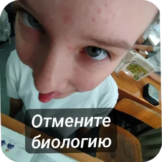 📝 emoji Катялох Telegram sticker 13 of 75