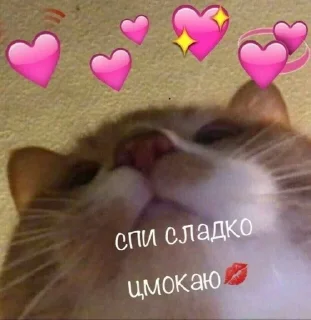 Sticker from ♡shit♡