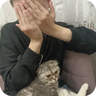 ✋ emoji Катялох Telegram sticker 14 of 75