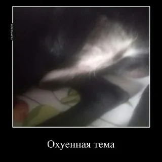 Sticker from Сын шлюхи