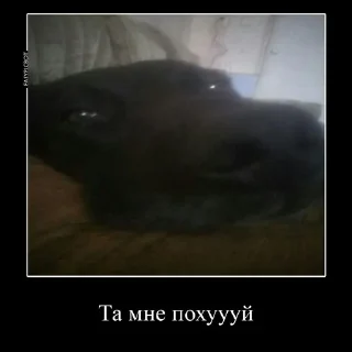 Sticker from Сын шлюхи