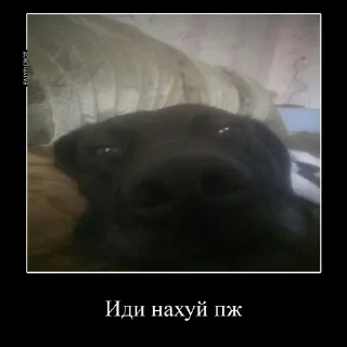 Sticker from Сын шлюхи