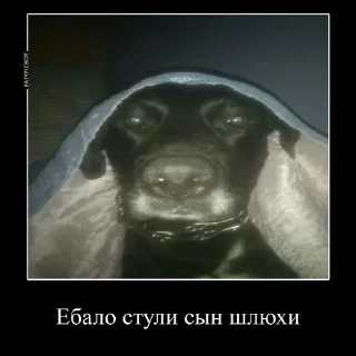 Sticker from Сын шлюхи