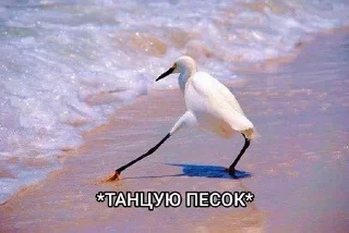 💃 emoji крутышки Telegram sticker 17 of 81
