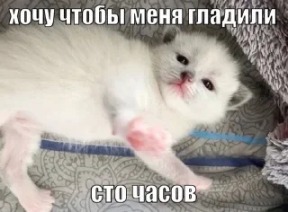 😍 emoji крутышки Telegram sticker 8 of 81