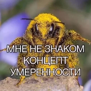 🤭 emoji крутышки Telegram sticker 12 of 81