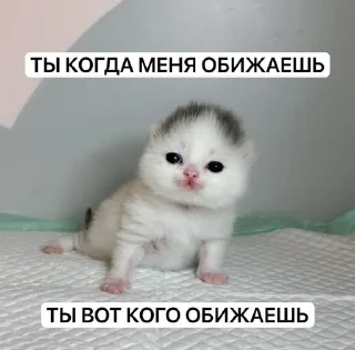 😡 emoji крутышки Telegram sticker 15 of 81