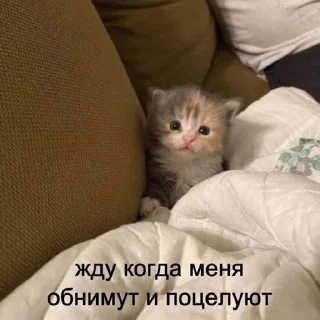 🥹 emoji крутышки Telegram sticker 6 of 81