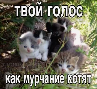 🥰 emoji крутышки Telegram sticker 5 of 81
