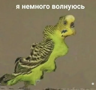 😢 emoji крутышки Telegram sticker 24 of 81