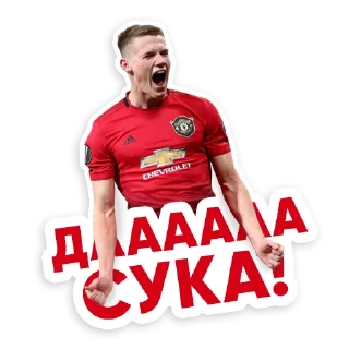 Sticker from Red Devils