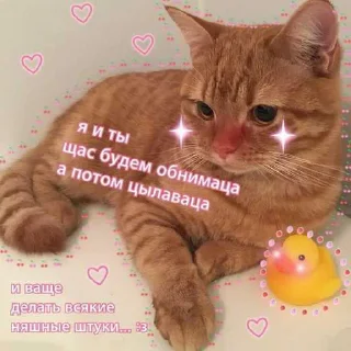 😔 emoji котик Telegram sticker 12 of 30