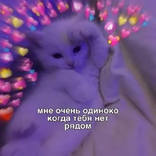 😒 emoji котик Telegram sticker 14 of 30
